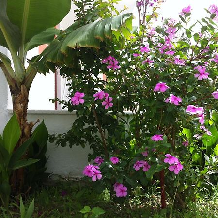 Flower Villa Apart Kemer Eksteriør billede