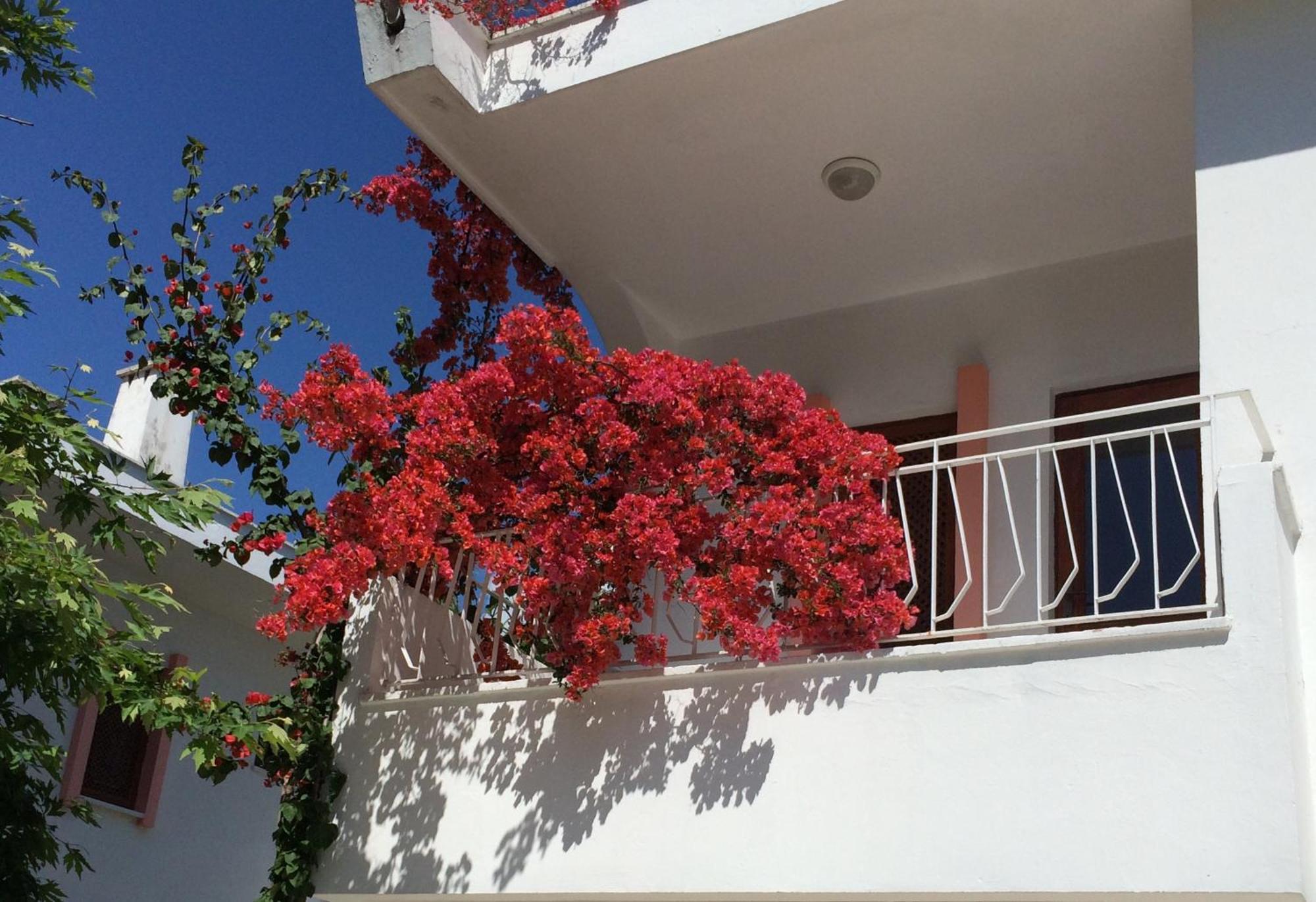 Flower Villa Apart Kemer Eksteriør billede